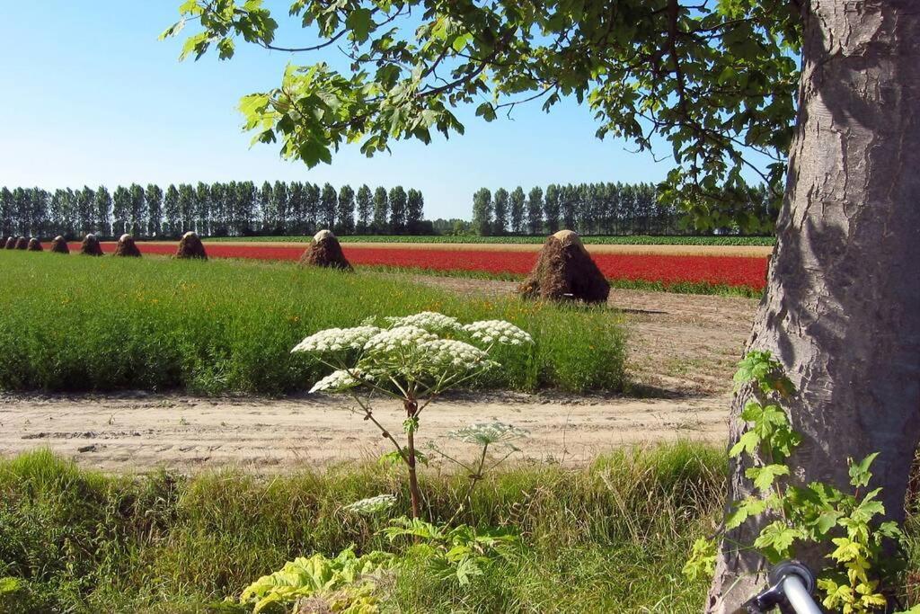 Logeren Op De Thoolse Parel Vakantiehuis Stavenisse Esterno foto
